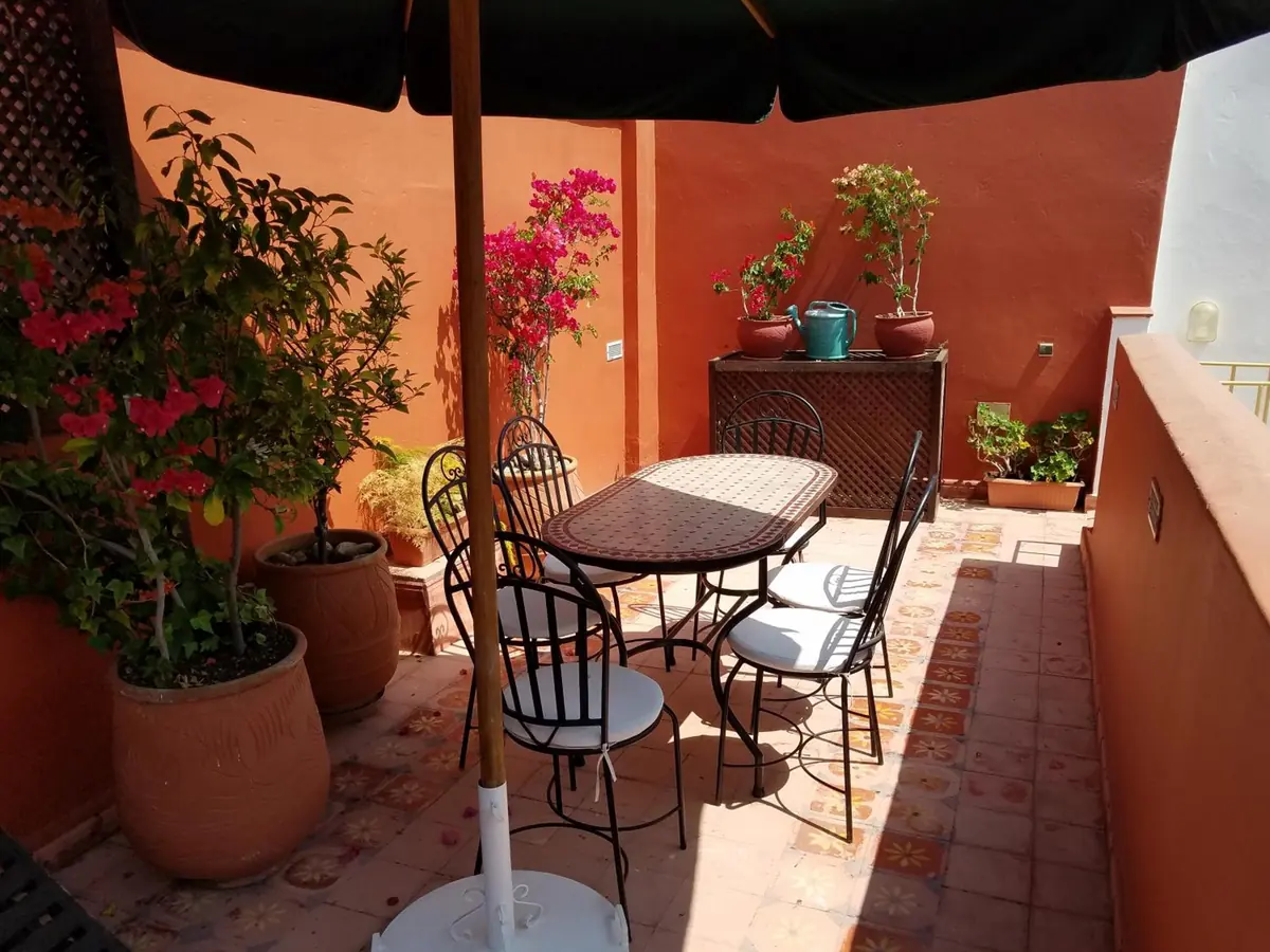Un coin de la terrasse, ses tables et ses bougainvilliers