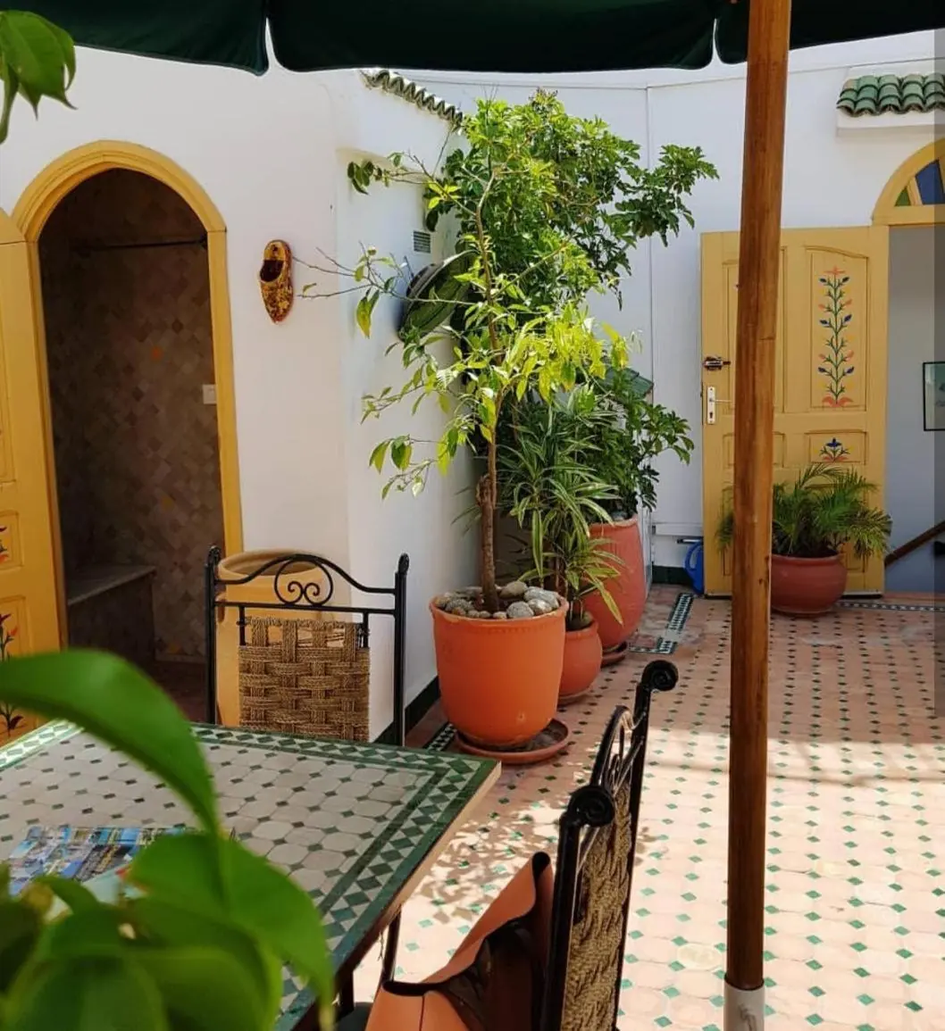 Les plantes de la terrasse