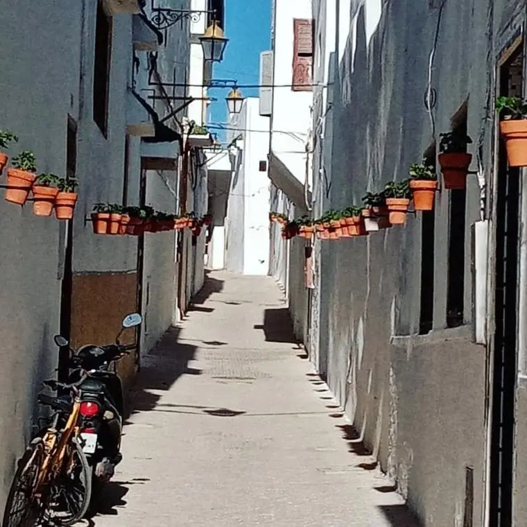 Une ruelle de la médina et ses pots de fleurs