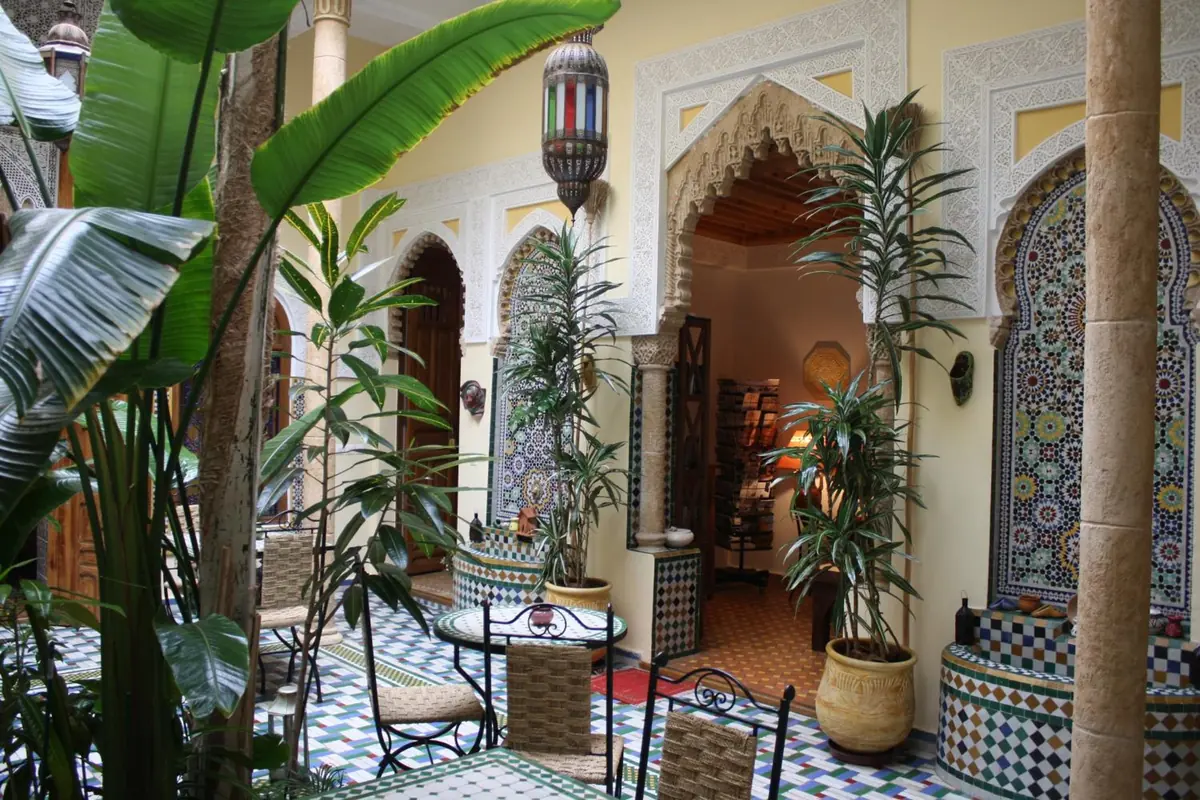 Le patio, ses plantes et ses arcs