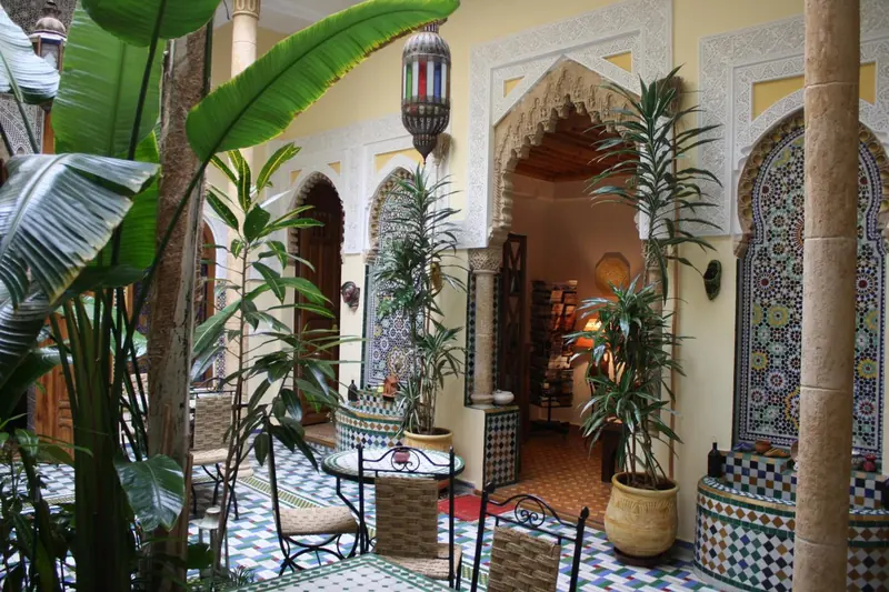 Le patio, ses plantes et ses arcs
